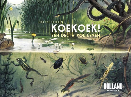 Koekoek