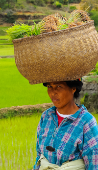 Madagascar vrouw aan het werk FrT 1 209