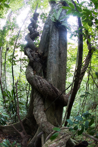 Madagaskar Edo van Uchelen Wildernistrek 10 van 20