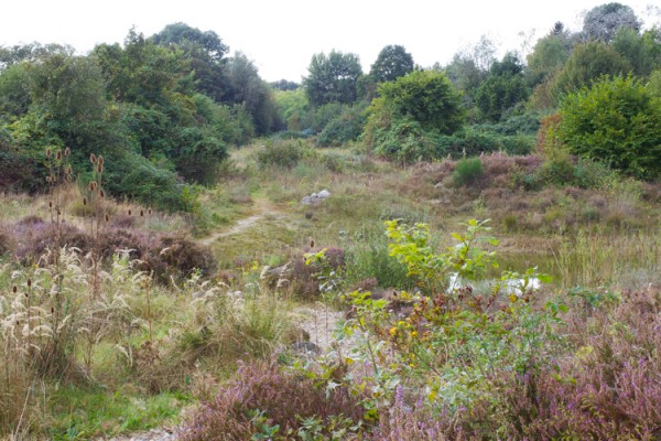 landje landschap 7 van 13