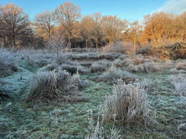 gefaseerd maaien winter