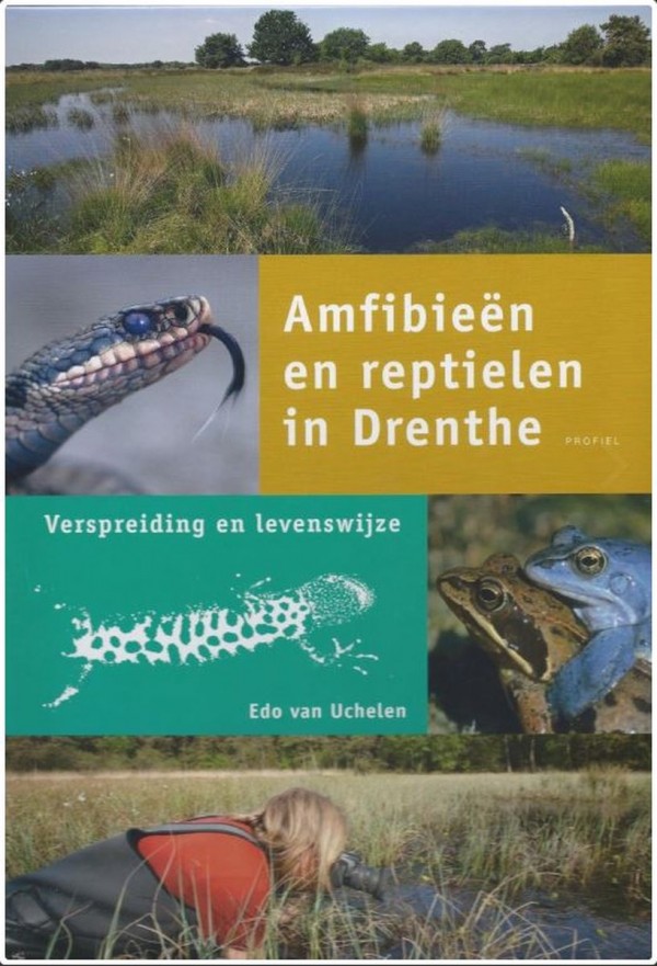 drenthe