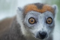 Madagaskar Edo van Uchelen Wildernistrek 4 van 20