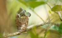 Madagaskar Edo van Uchelen Wildernistrek 9 van 14