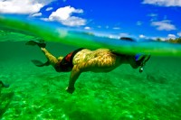 masoala national park snorkeling